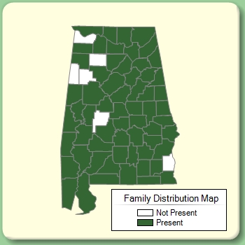 Family Distribution Map