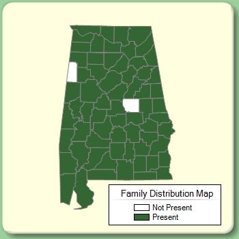 Family Distribution Map