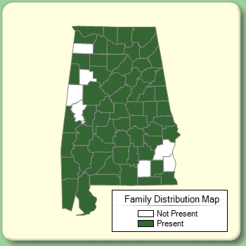 Family Distribution Map