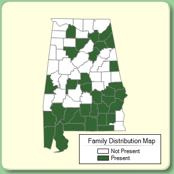 Family Distribution Map