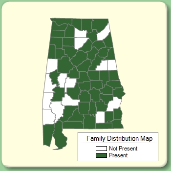 Family Distribution Map