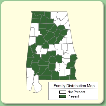 Family Distribution Map