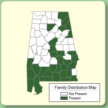 Family Distribution Map