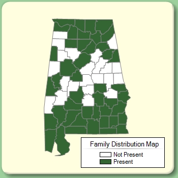 Family Distribution Map