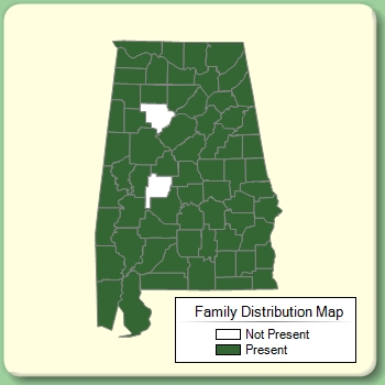 Family Distribution Map