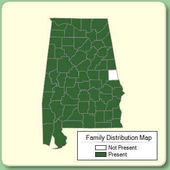 Family Distribution Map