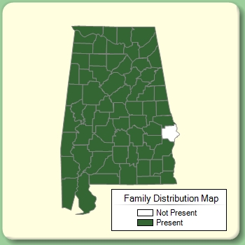 Family Distribution Map