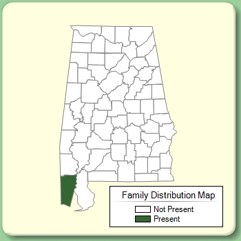 Family Distribution Map