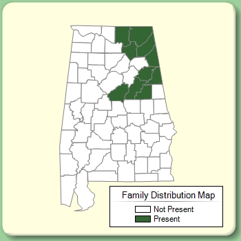 Family Distribution Map