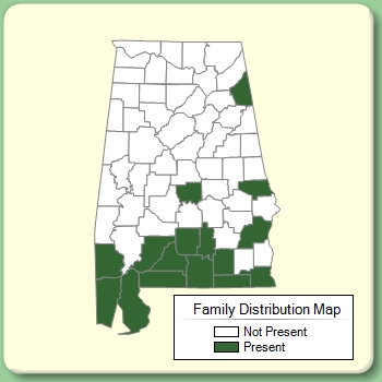 Family Distribution Map