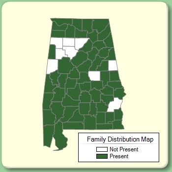 Family Distribution Map