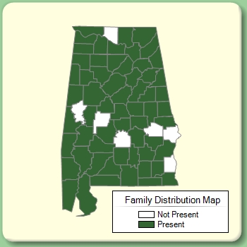 Family Distribution Map