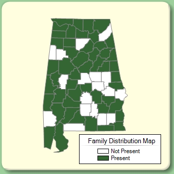 Family Distribution Map