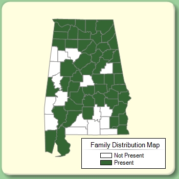 Family Distribution Map