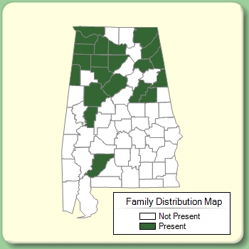 Family Distribution Map