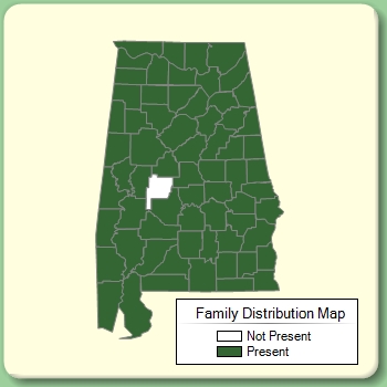 Family Distribution Map