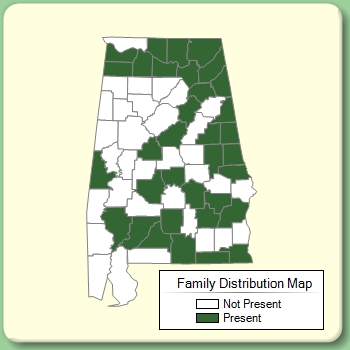 Family Distribution Map