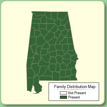 Family Distribution Map