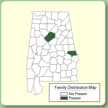 Family Distribution Map