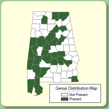 Genus Distribution Map