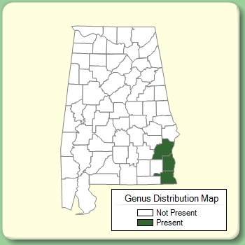 Genus Distribution Map