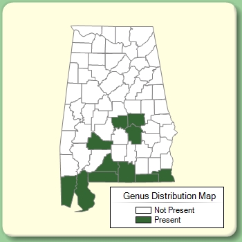 Genus Distribution Map