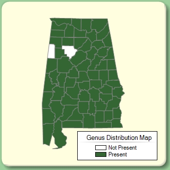 Genus Distribution Map