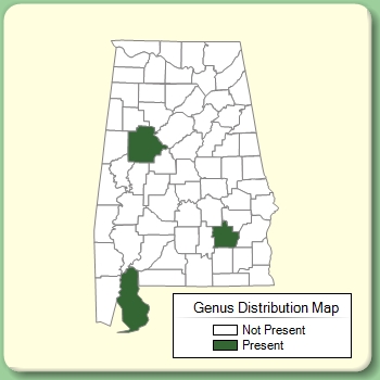 Genus Distribution Map