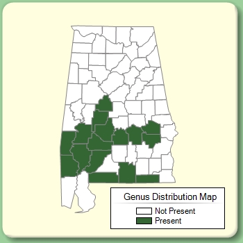 Genus Distribution Map