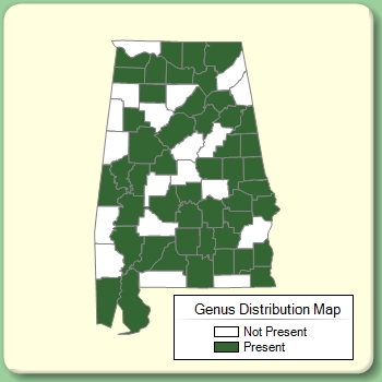 Genus Distribution Map