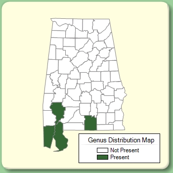 Genus Distribution Map