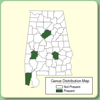 Genus Distribution Map