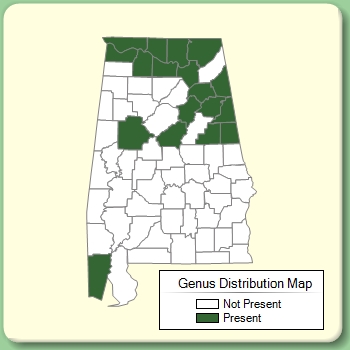 Genus Distribution Map