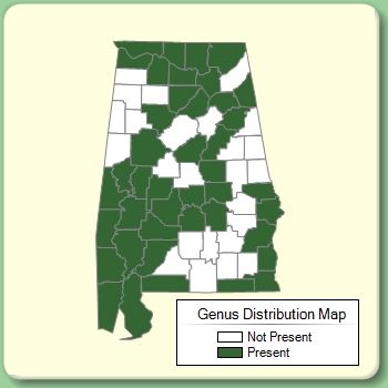 Genus Distribution Map