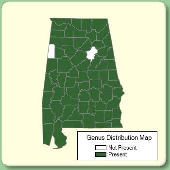 Genus Distribution Map