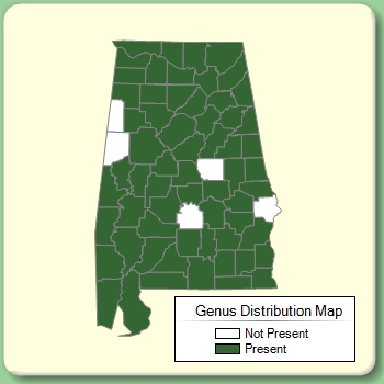 Genus Distribution Map