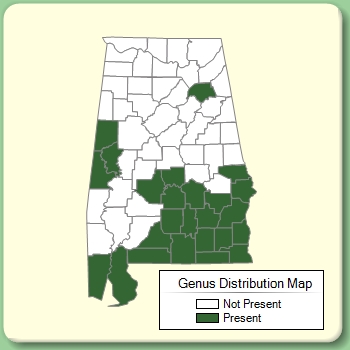 Genus Distribution Map