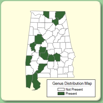 Genus Distribution Map