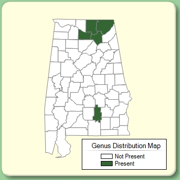 Genus Distribution Map