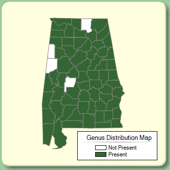 Genus Distribution Map