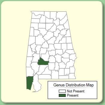 Genus Distribution Map