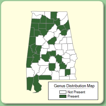 Genus Distribution Map