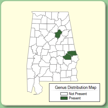 Genus Distribution Map