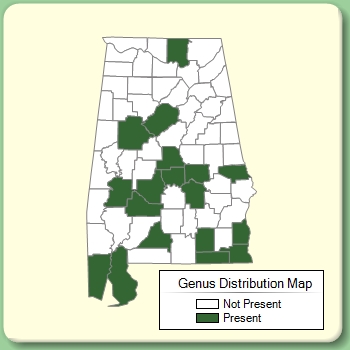 Genus Distribution Map