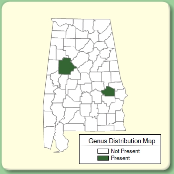 Genus Distribution Map