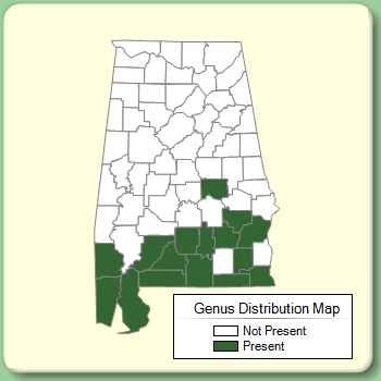 Genus Distribution Map