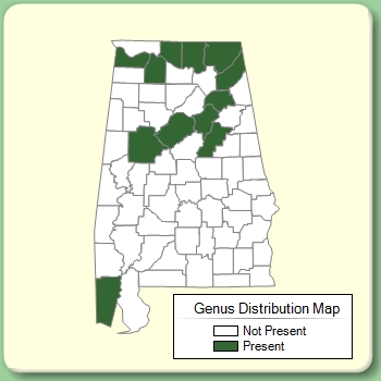 Genus Distribution Map