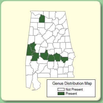 Genus Distribution Map