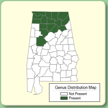 Genus Distribution Map