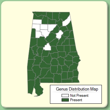 Genus Distribution Map